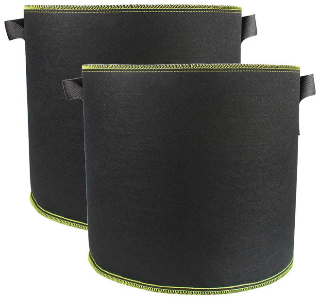 오늘의공감 부직포 농작물 블루베리 화분, 블랙, 2개