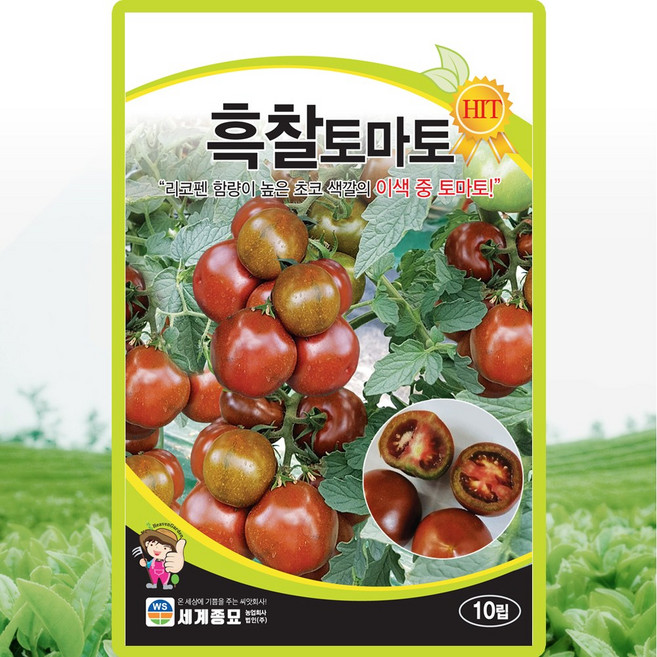 세계종묘 흑찰토마토 씨앗 10립 이색 중 토마토씨 종자, 1개
