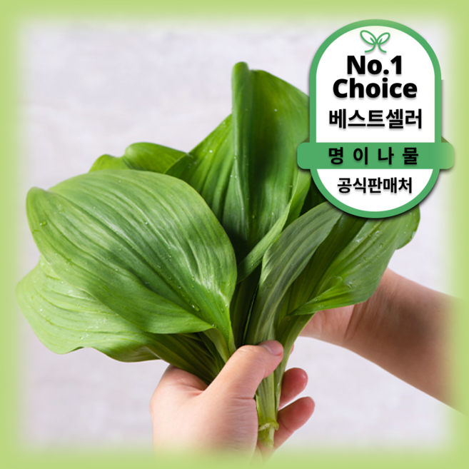 [100%유기농인증] 특등급 프리미엄 명이나물 산지직송, 1박스, 3kg