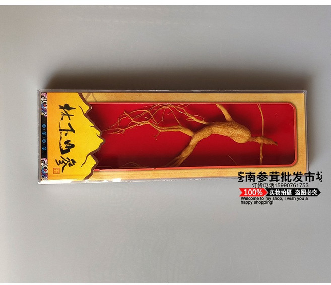 인삼 모형 모조 진열 소품 데코 뿌리 촬영 교구 버건디와인 건산삼, 투명하다