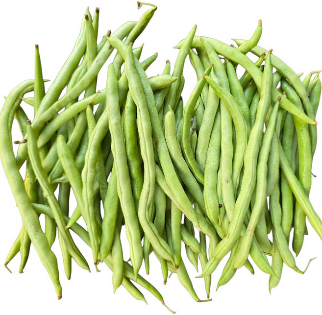 국내산 생 그린빈 그린빈스 껍질콩 줄기콩 당일수확 Dau que 동남아 식재료, 3개, 1kg