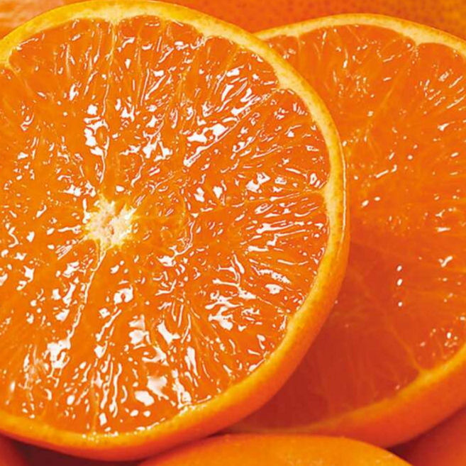 [재구매1위] 당일수확 초고당도 신선보장 카라향, 1박스, 5kg