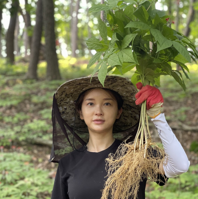 삼선생 강원도 정기를 머금은 산양삼 장뇌삼 산삼 산양산삼 장뇌산삼 국내산 6년근 10뿌리 선물세트
