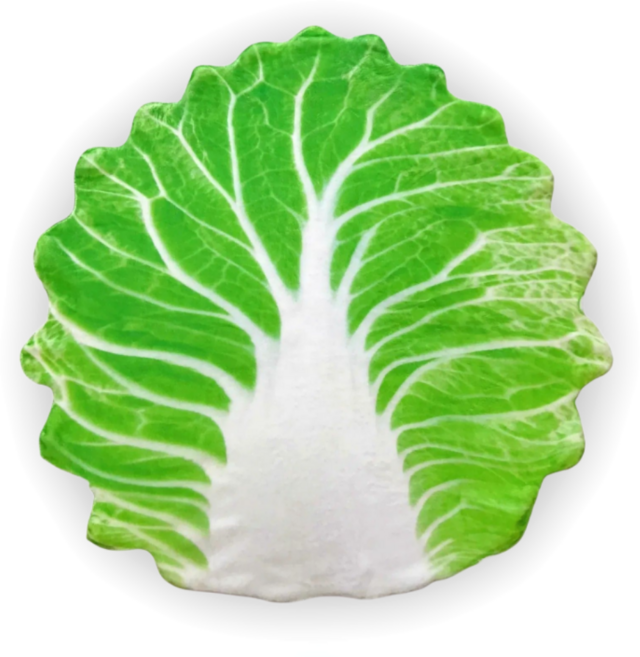 503하우스 야채 배추 낮잠이불 사무실 캠핑 무릎담요