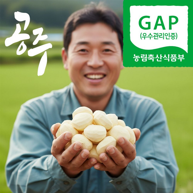 더맛곳간 국산 공주 정안 알밤 햇 생 깐 밤 제수용 차례상 생율 대, 1개, 1kg