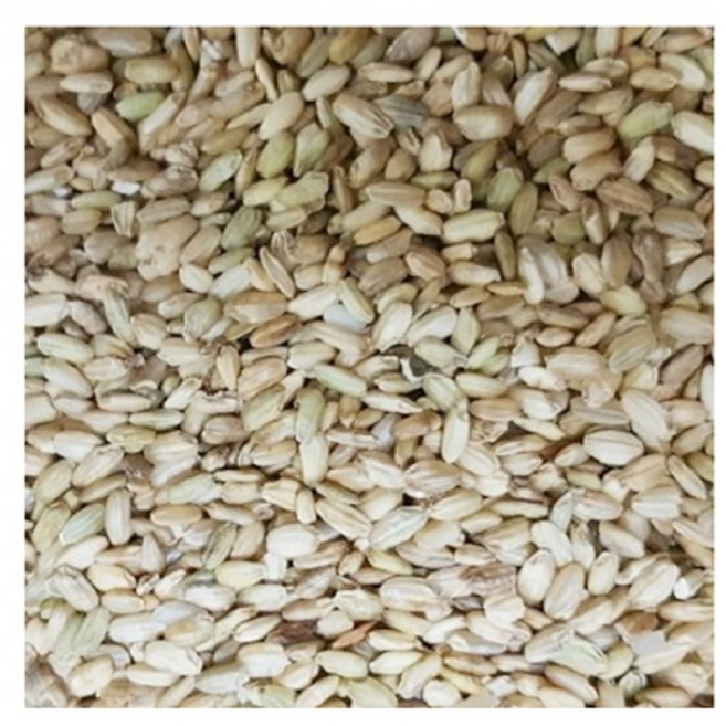 소포장5kg 청치(싸래기) 메추리 오리 참새 비둘기 새모이 애완조류, 1개, 5kg