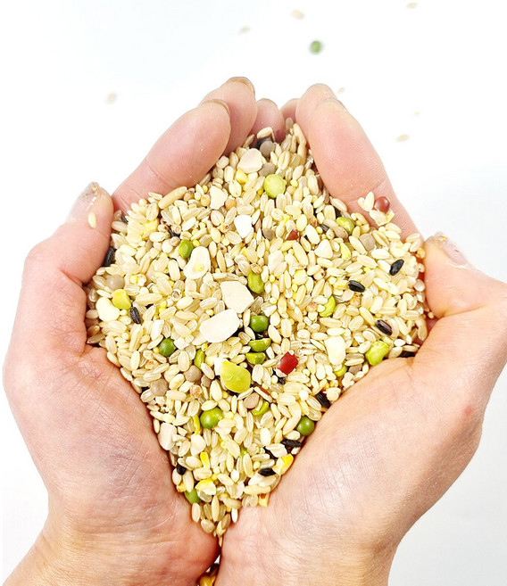 집밥 저당지수 27곡 4kg 5kg. 10kg 20kg 혼합잡곡 식단 진공포장, 1개