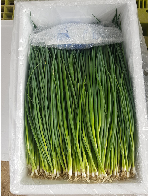 [금요일발송 마감] 아이스박스포장 포천 하우스 실파 잔파 깐쪽파 흙쪽파, 4kg, 1박스