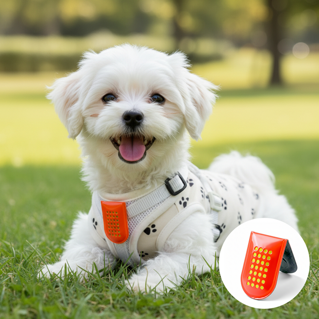 온댕 나가드댕 강아지 고양이 아로마 자석 클립 모기 진드기 퇴치 해충방지 벅스쉴드, 1개, 2.5ml, 코랄