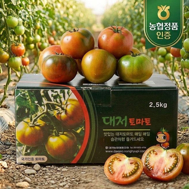 [올해마지막물량] 산지직송 대저 짭짤이 토마토, 1박스, 2.5kg (S사이즈)
