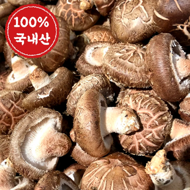 [파격특가] 표고버섯 국내산 표고버섯 생 표고버섯 파지, 1박스, 표고버섯 파지 4kg