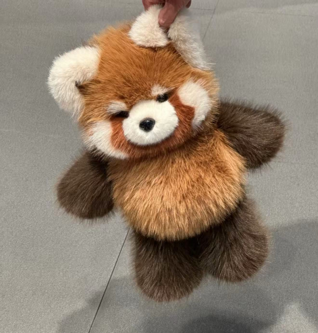 可愛小貓熊玩偶 軟萌毛絨公仔 兒童抱枕, 跑跑小浣熊, 55cm【0.6kg】