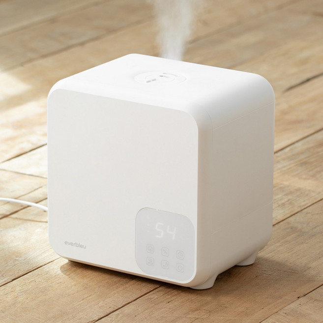 에버블루 파워미스트 대용량 4L 복합식 가습기, EH003