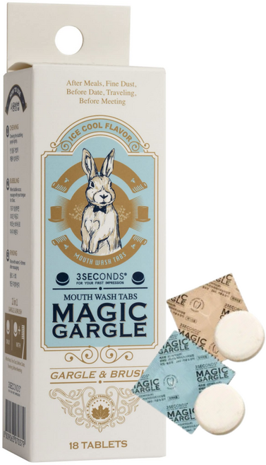 쓰리세컨즈 씹는 고체 매직가글 구강세정제 아이스쿨향, 15.4g, 1개