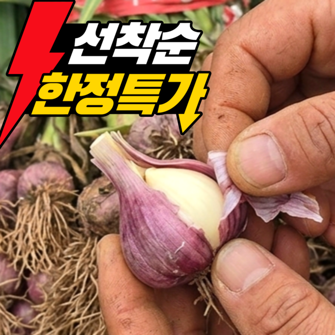 [26년수확] 고흥 국산 햇마늘 대서마늘 대알선별 장아찌용 통마늘 산지직송, 1박스, 국내산 햇마늘 2kg