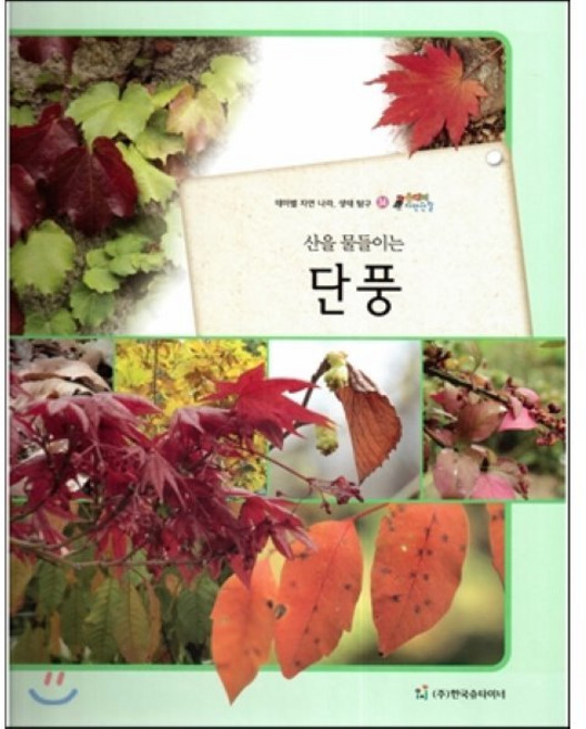 올빼미 자연관찰 34 산을 물들이는 단풍 (식물), 한국슈타이너