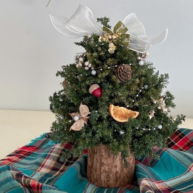 Floraflower 雪松聖誕樹 居家擺飾 聖誕擺設, 1個