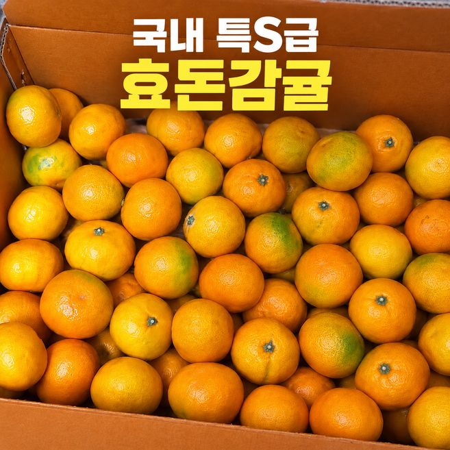 깨비네가고른 효돈 [백화점납품품위] 제주 로얄감귤, 1박스, 2kg(M)