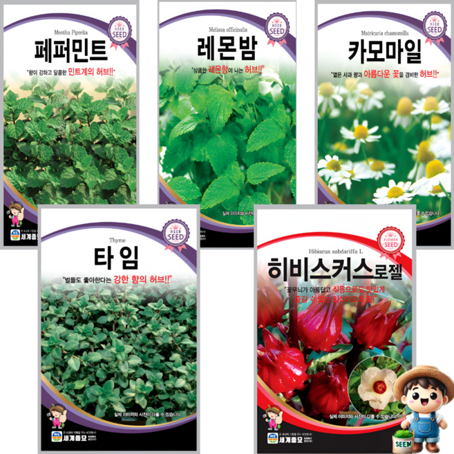 허브티 씨앗 5종 세트 페퍼민트 레몬밤 카모마일 타임 히비스커스 허브차