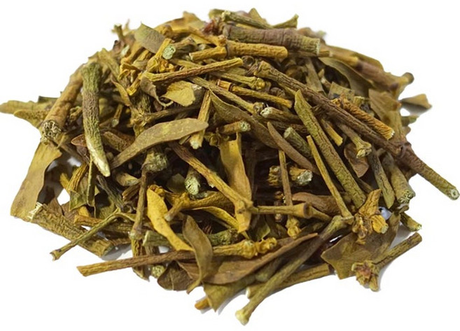 청명약초 겨우살이(중국산 3kg), 3kg, 1개