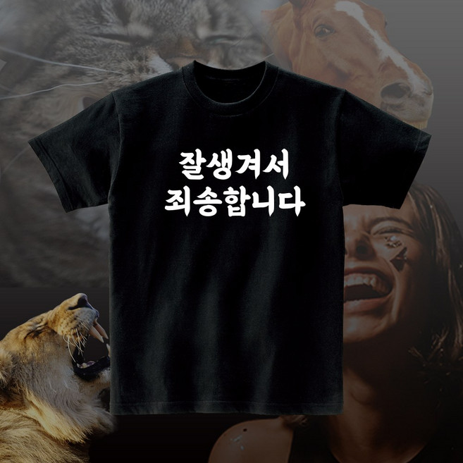 잘생겨서 죄송합니다 재밌는 티셔츠 반팔 면티 모임 단체 반티