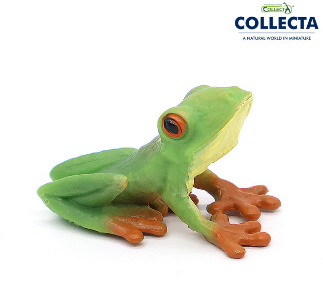컬렉타 테라리움 미니 붉은눈청개구리, 1개