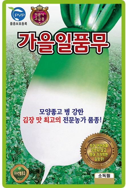 KS종묘 가을 일품 무씨앗 1000립 모양좋고 병에 강한 김장 김장무씨 종자, 1개