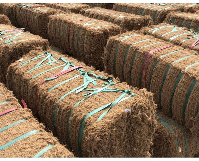 코아네트 코어네트 코이어네트 코어피증정, 1묶음(5롤), 1개