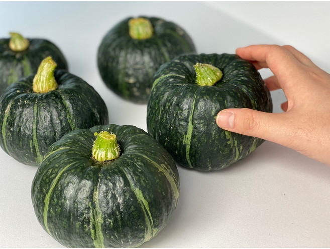 국내산 달콤 미니 밤단호박 보우짱, 1박스, 5kg(10-20개)