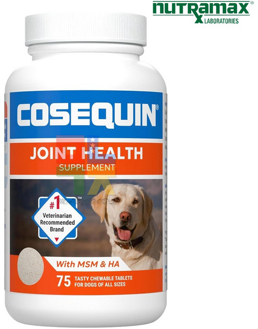 뉴트라맥스 코세퀸 조인트 헬스 MSM HA 75 츄어블 타블렛 강아지 반려견, 75정, 뼈/관절강화, 1개