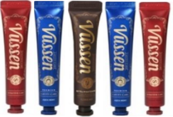 오스템 뷰센 휴대용 여행용 기능성 치약 5개세트, 1세트, 40ml