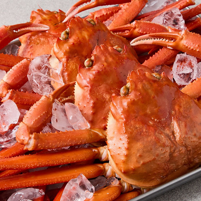 울진 후포리 자숙홍게 프리미엄 속이꽉찬 당일조업 찜홍게, 프리미엄 자숙홍게 1.5kg 내외 (4-6미)