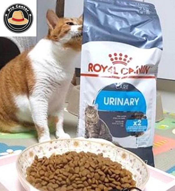 프로센터 로얄캐닌 헤어 스킨케어 고양이사료 4kg 묘사료 모질개선 피부사료