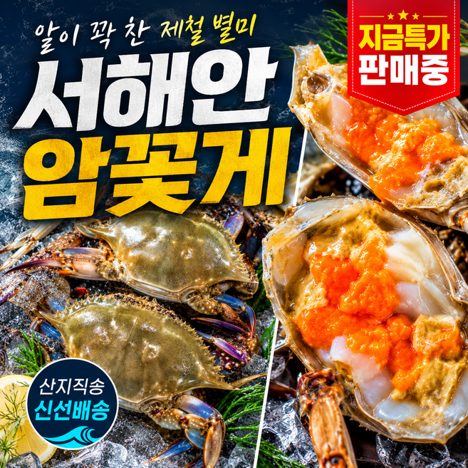 [특가] 국내산 서해안 암꽃게 제철 꽃게 산지직송 1kg 2kg 3kg (급냉), 1개, 암꽃게 1kg (4-6미)