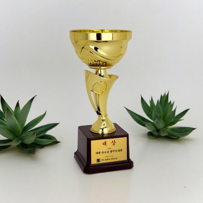 트로피 제작 맞춤 플라스틱 기념트로피 이글패 홀인원 골프기념패 피오레, 피오레 大, 1개