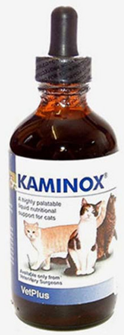 벳플러스 카미녹스 고양이 칼륨 보조제 60ml, 1개