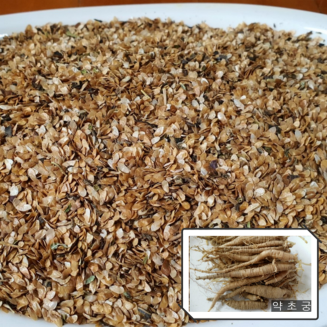 국내산 더덕씨앗 소주1컵 대량 도매 가능, 1개