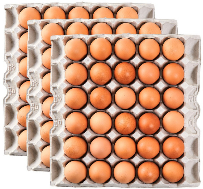 [더싱싱] HACCP 맥반석 구운계란 구운란 대란, 90구, 1개