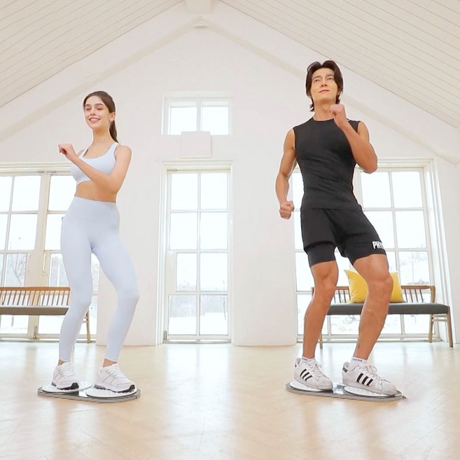 파워핏 슬렌더 트위스트 운동기구 뱃살 옆구리 운동, 단품