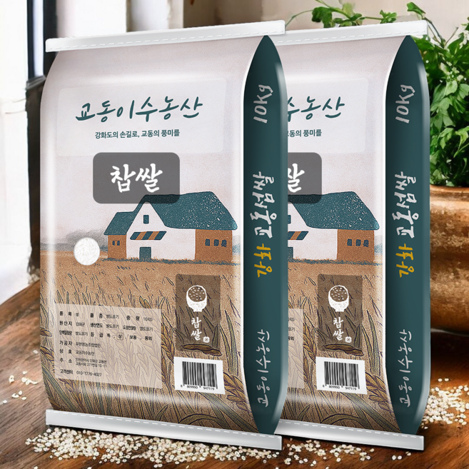 [찹쌀]2025년 강화섬쌀 교동섬쌀 [교동이수농산], 10kg, 2개, 상등급