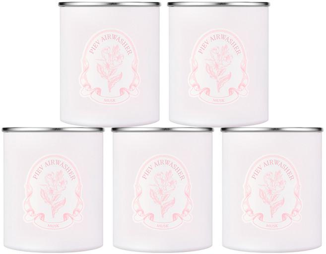 [본사공식몰] 피에브 에어워셔 고체 탈취제 냄새 제거 머스크 향, 5개, 250g