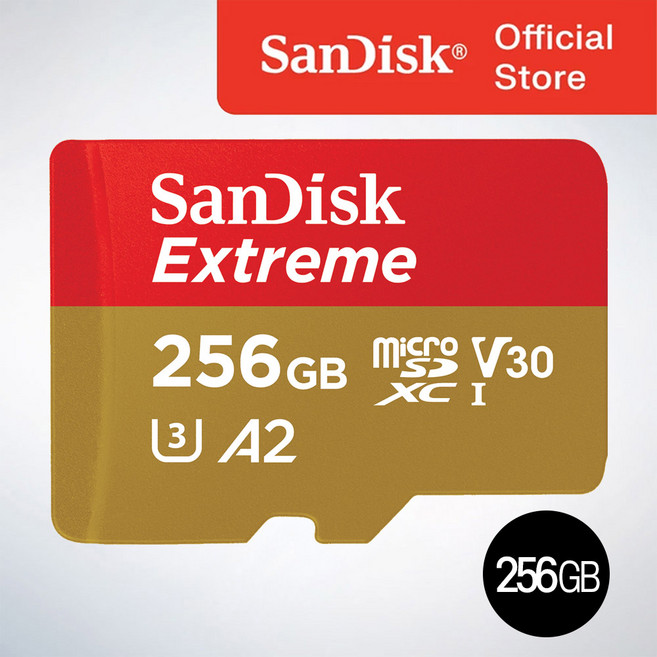 샌디스크 마이크로 SD카드 SDXC Extreme 익스트림 QXAV 256GB, 1개