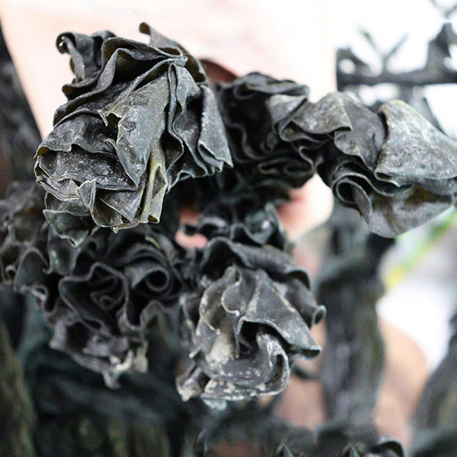 완도 단 돌각미역 부드러운 산모용 최고급, 1개, 400g