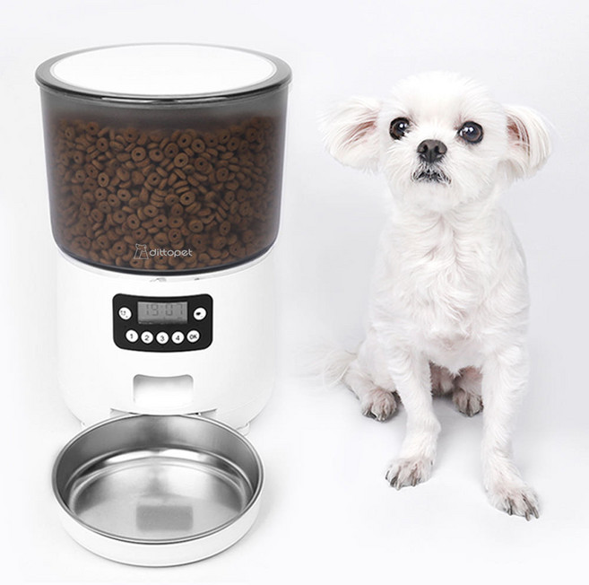 디토펫 반려동물 자동급식기 4L, 1개, 화이트