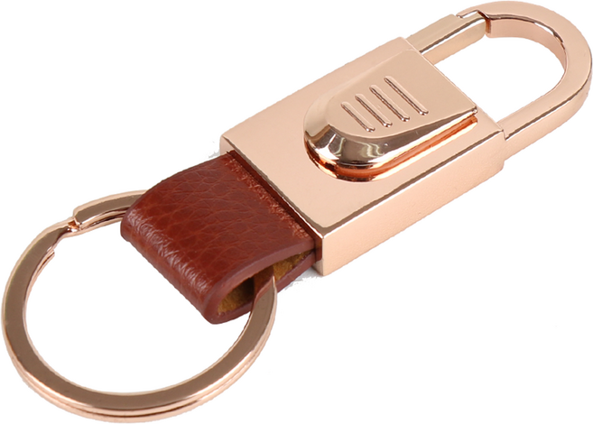 자동차 TPU 키 케이스 메탈후크 키홀더 키링 스트랩 RT05, RT05_골드, 1개