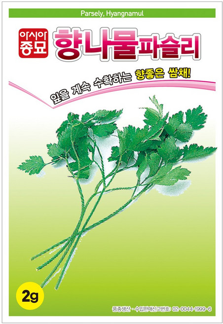아시아종묘 씨앗 향나물 파슬리 250g, 1개