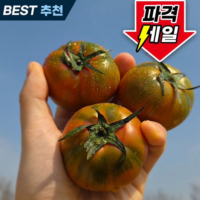 (농장직송)대저 짭짤이 토마토 정품, 1박스, 2.5kg(3s~s로얄과)