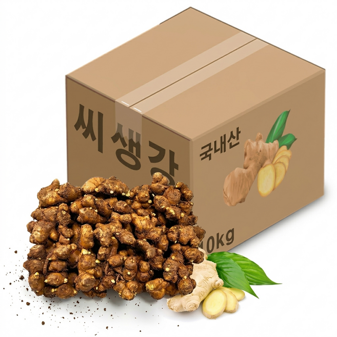 자재스토어 씨생강 생강종자 종자용생강 국산 생강, 1개, 10kg