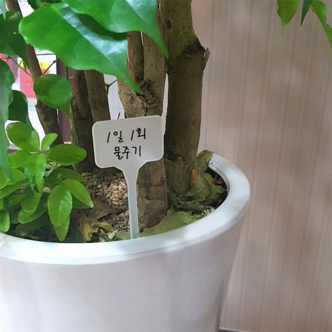 루비온 식물이름표 팻말 주말농장