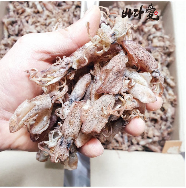 남해통영 참꼴뚜기 말린꼴뚜기 마른꼴뚜기 건호래기 건꼴뚜기300g, 1개